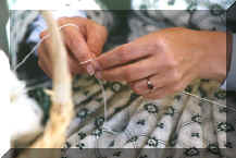 Lacemaker's Hands